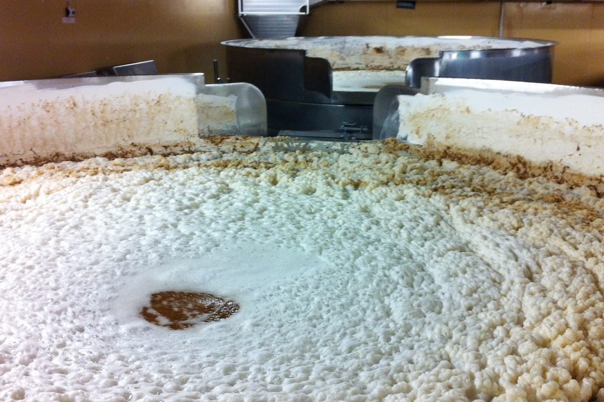 The Fermentation Process