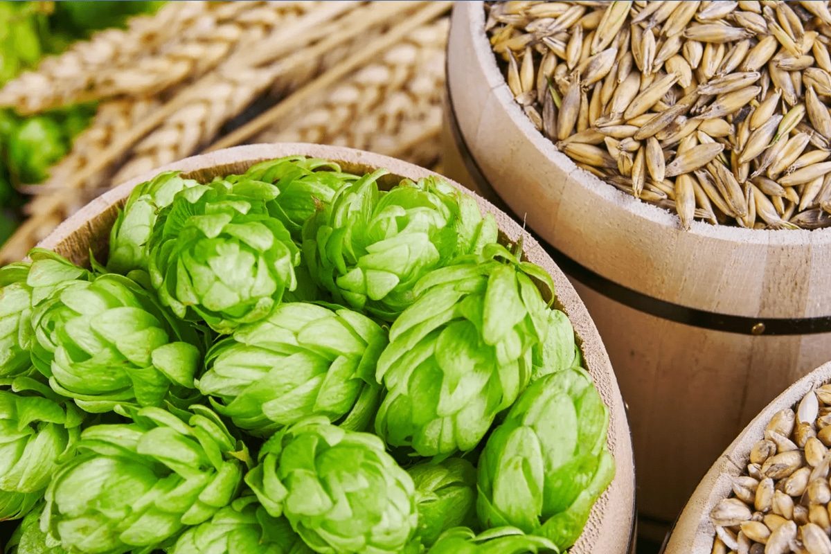 The Role of Hops in Different Beer Styles