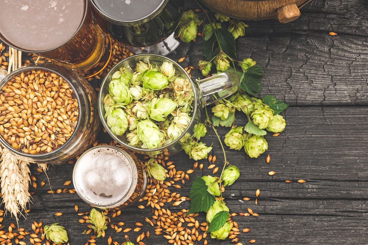 What Ingredients Are Needed To Brew Beer