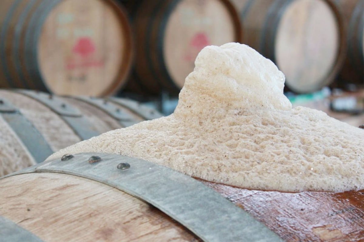 What Is The Role of Yeast in Beer Fermentation